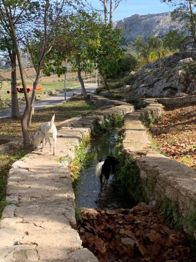 Villa Remedios Cuevas del Becerro Luaran gambar