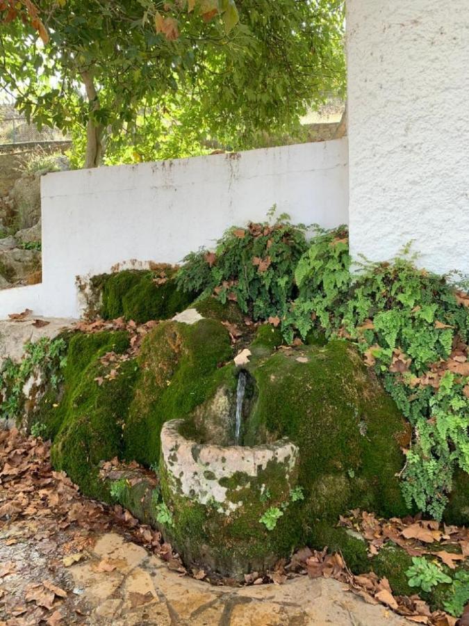 Villa Remedios Cuevas del Becerro Luaran gambar